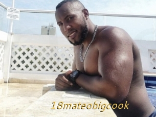 18mateobigcook