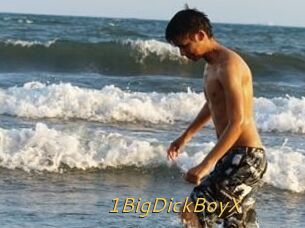 1BigDickBoyX