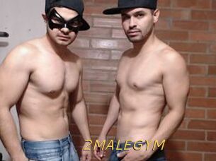 2MALEGYM