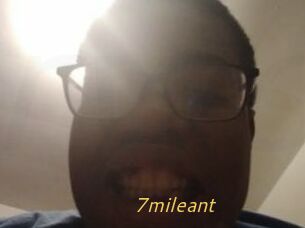 7mileant