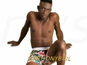 ANTHONYBUIL