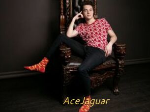 AceJaguar