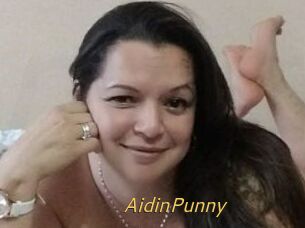 AidinPunny