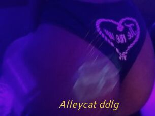 Alleycat_ddlg