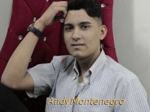 AndyMontenegro