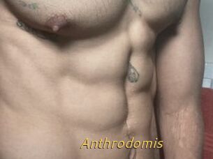 Anthrodomis