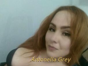 Antonella_Grey