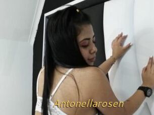 Antonellarosen