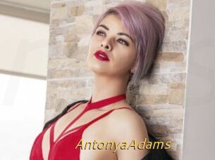 AntonyaAdams
