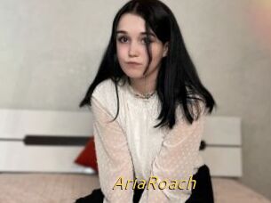 AriaRoach