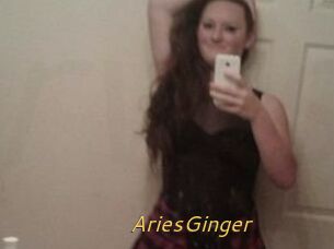 AriesGinger