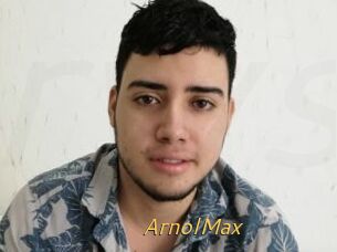 ArnolMax