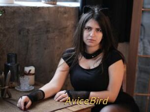 AviceBird