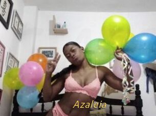 Azaleia