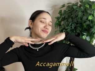 Accagammell