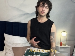 Adammarley