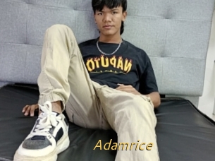 Adamrice