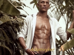 Adamvyker