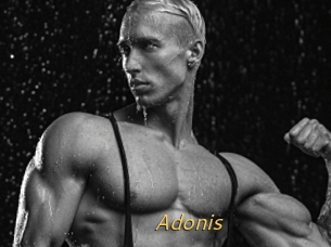 Adonis