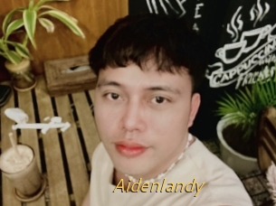 Aidenlandy