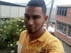 Alexbigcock22