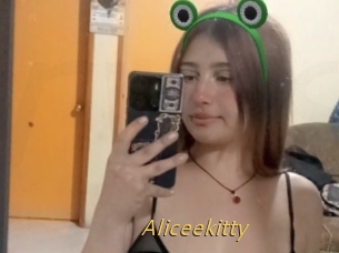 Aliceekitty