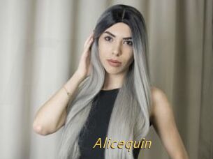Alicequin