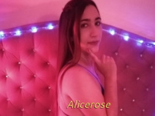 Alicerose