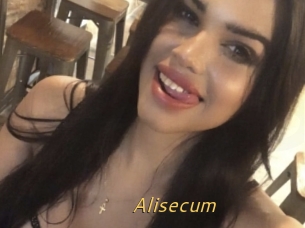 Alisecum