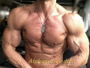 Alphamuscledom