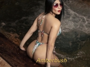 Amberbush