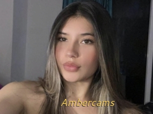 Ambercams