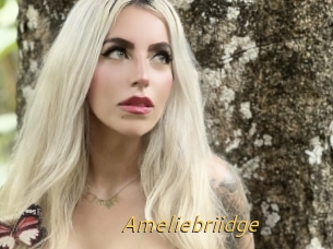 Ameliebriidge