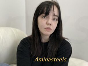 Aminasteels