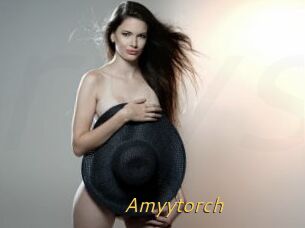 Amyytorch