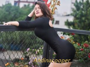 Andinacooper