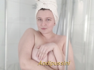 Andipussini