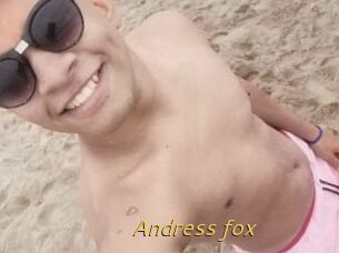 Andress_fox