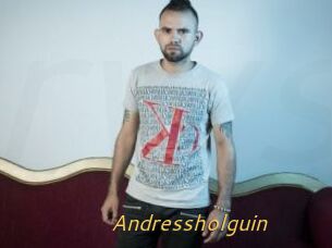 Andressholguin