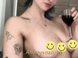 Androgynaughty