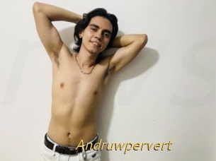 Andruwpervert