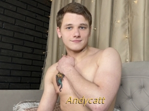 Andycatt