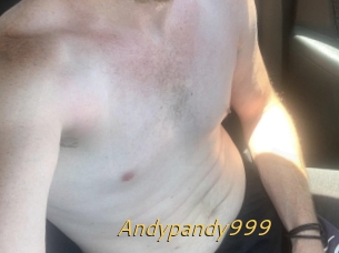 Andypandy999