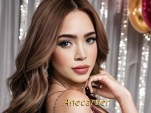 Anecartier