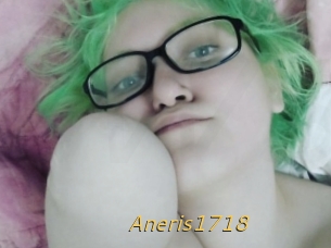 Aneris1718