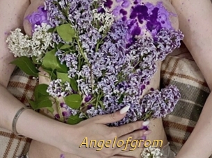 Angelofgrom