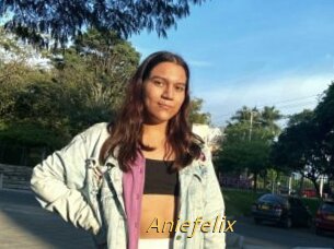 Aniefelix