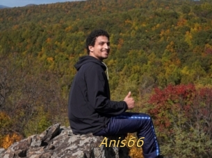 Anis66