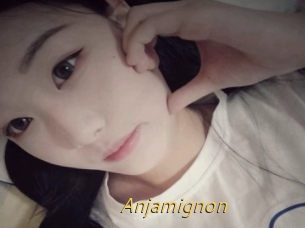 Anjamignon