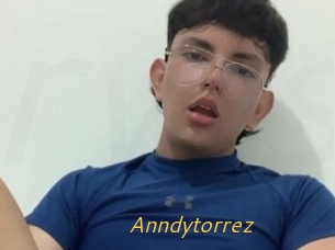 Anndytorrez